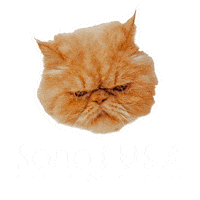 Mongepet sweet cane gatto miao Sticker