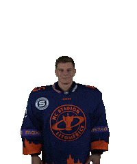 Sport Hokej Sticker by HCSTADION