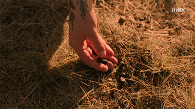 The Last Of Us Coffee GIF by Max