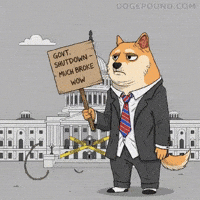 Government Shutdown Wow GIF by Doge Pound