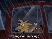 nickrewind nicksplat angry beaver GIF