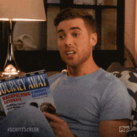 Guess Pop Tv GIF by Schitt's Creek