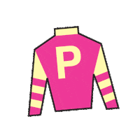Sport Silk Sticker by Kentucky Derby