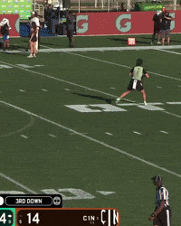 Fight On Usc Trojans GIF