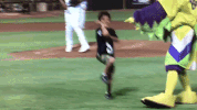 kccougars GIF by Kane County Cougars