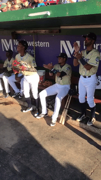 kccougars kccougars GIF
