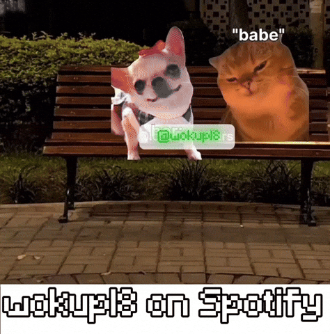 Cat Meme Yap GIF