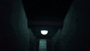 Germany Horror GIF by Wired Productions