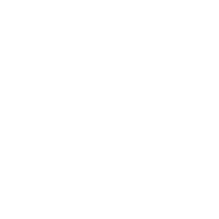 Festival Bird Sticker by ccdimpa