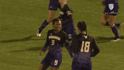 Dance Celebrate GIF by Pac-12 Network