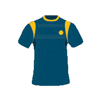 Worcester Womensrugby Sticker by RuggetteRFC