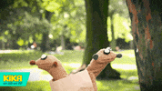 confused map GIF by KiKA