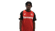 Bayer Leverkusen Selfie Sticker by Bundesliga