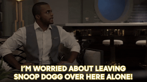 Snoop Dogg Grandhotelabc GIF by ABC Network