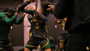March Madness Sport GIF by Baylor Athletics