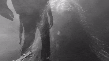 Heavy Metal GIF by Machine Head