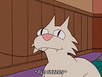 episode 16 GIF