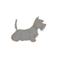 Just Married Dog Sticker by Axioo