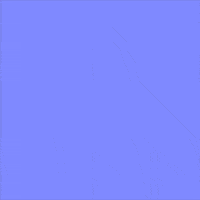 Full Moon Bear GIF by Jessica Lau