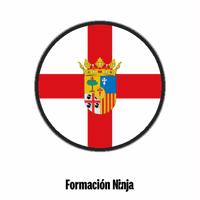 Flag Spain GIF by Formación Ninja