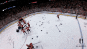 Happy Stanley Cup Playoffs GIF by NHL