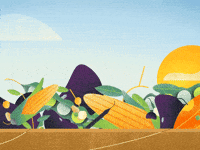 AnchorPoint health healthy fruit fresh GIF
