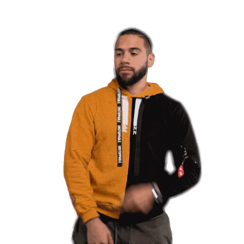 P4L Sticker by Emile Machado