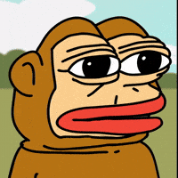 Solana What GIF by Ponke