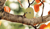 fan art pom pom GIF by CsaK