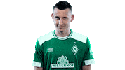 football laughing Sticker by SV Werder Bremen