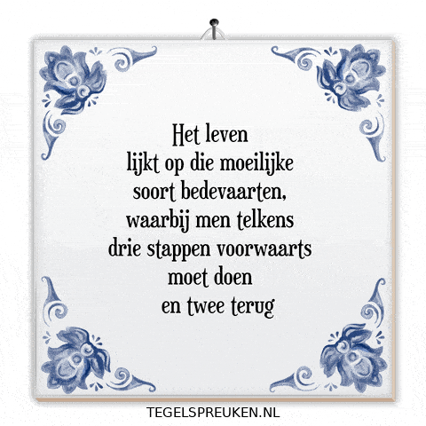 Reflectie Reis GIF by Tegelspreuken.nl