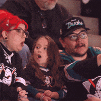 Ducks Fan GIF by Anaheim Ducks