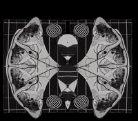 Collage GIF