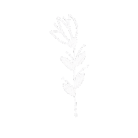 Flowers Aesthetics Sticker