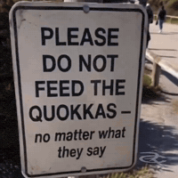 Quokka GIF by Respective