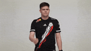 Rainbow Six R6 GIF by G2 Esports