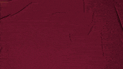 College Baseball GIF by Pearl River Athletics