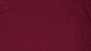 College Baseball GIF by Pearl River Athletics