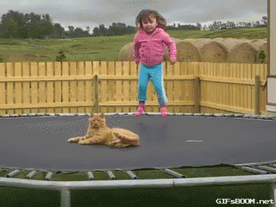 cat kid GIF