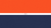 Uva Football Ac GIF by Virginia Athletics