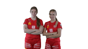 Sport Floorball Sticker by F-liiga