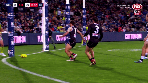 2018 season football GIF by AFL