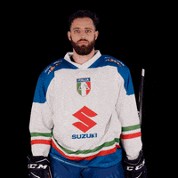 federazioneghiaccio hockey ice wintersport sportinvernali GIF