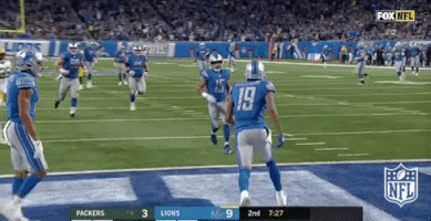 Detroit Lions Football GIF by NFL