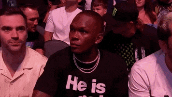 Mixed Martial Arts Sport GIF by UFC