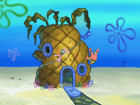 season 8 GIF by SpongeBob SquarePants