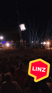 Fire Wow GIF by Linz News