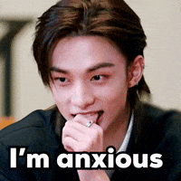 Stray Kids Skz GIF