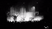 live GIF by 5 Seconds of Summer