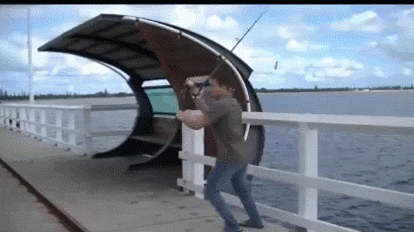 VicVik giphyupload GIF